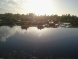 Flood reflections