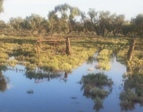 Flood Gate