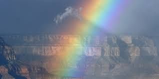 IMG_2443.jpeg