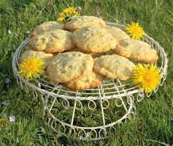 dandelion biscuits.jpg