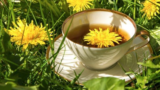 dandelion-tea-620_620x350_71484652381.jpg